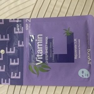 NWT 2 Step Face Mask